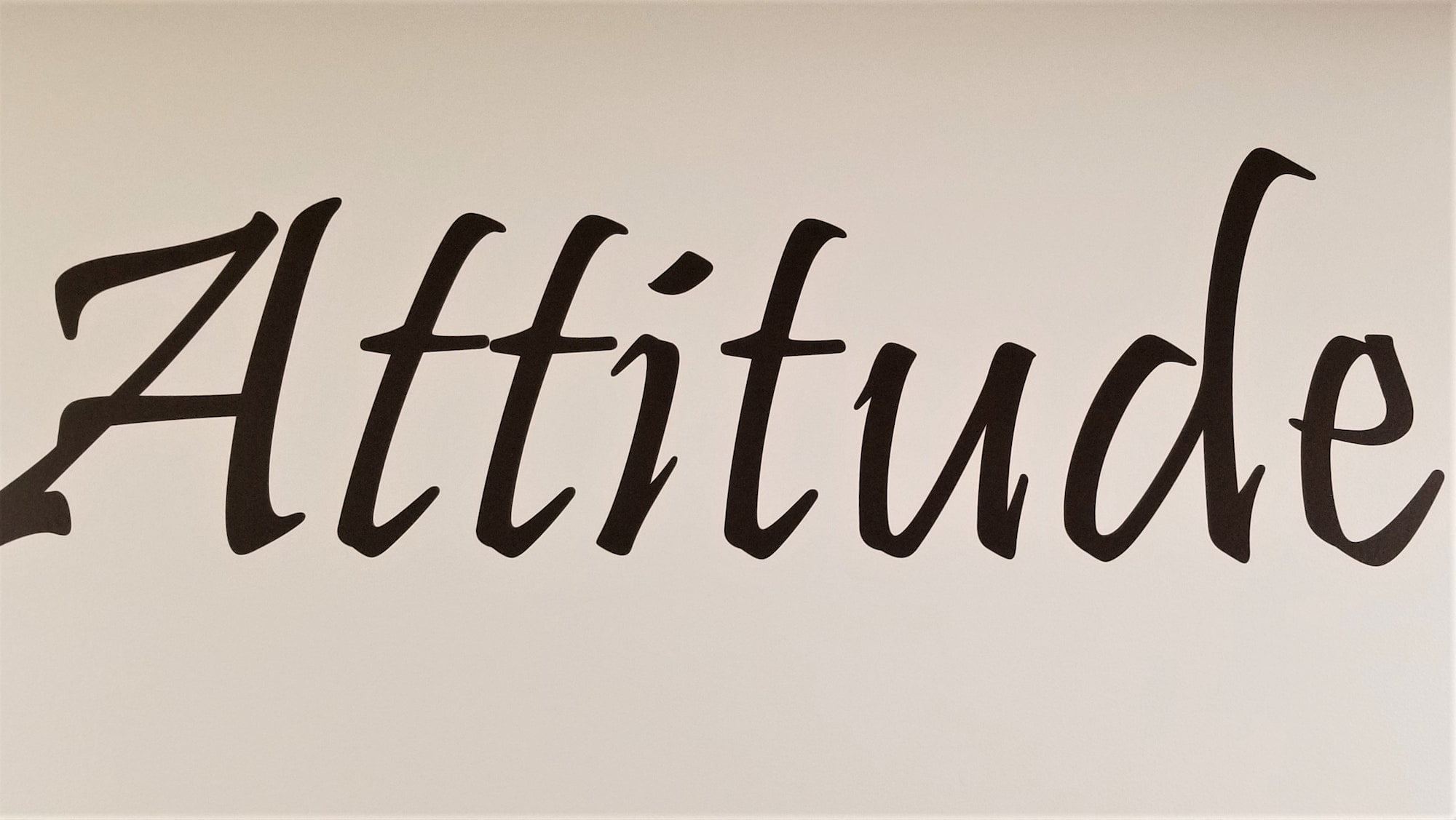 ATTITUDE! A way of thinking or feeling about someone or something!